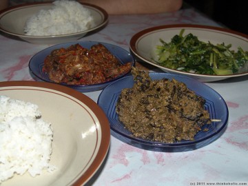 adventure dinner: spicy stewed fruit bat (tentena, sulawesi)