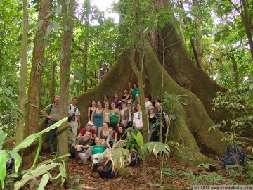 group photo at a giant kapok tree (ceiba pentandra), parque nacional arenal