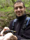 bozo and the fire salamander (salamandra salamandra)