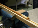 preparation of a wood core sample of european larch (larix decidua)