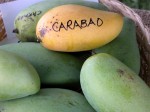 Mangos der Sorte Carabao (Foto: Asit K. Ghosh, cc-by-sa 3.0)