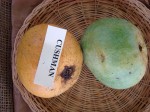 Mangos der Sorte Cushman (Foto: Asit K Ghosh, cc-by-sa 3.0)