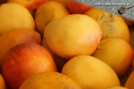Mangos der Sorte Peach (Foto: Markus Nolf / Vom Essen Besessen)